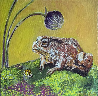 Toad by Jan Barzottini