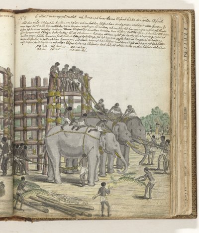 A Bound Elephant Being Led from the Last Section of the Trap, the Prison Corral by Jan Brandes
