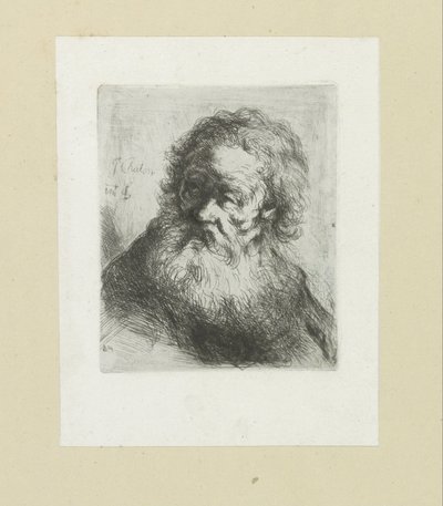 Old Man with Beard by Jan Chalon