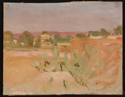 Pink Landscape with Cacti. From a Journey to India by Jan Ciągliński