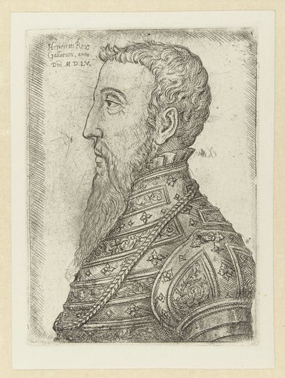 Portrait of Henry II by Jan Cornelisz Vermeyen