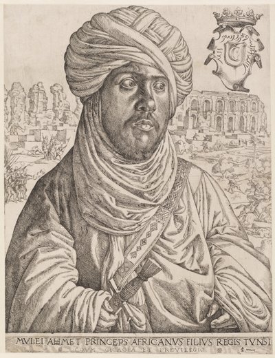 Portrait of Muley Ahmed by Jan Cornelisz Vermeyen