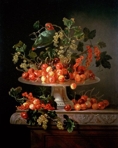 A Still Life of Cherries and Currants with a Parrot by Jan Frans van Son
