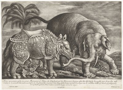 Elephant and Rhinoceros by Jan Griffier (I)