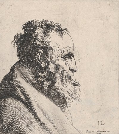 Bust of an Old Man by Jan Lievens