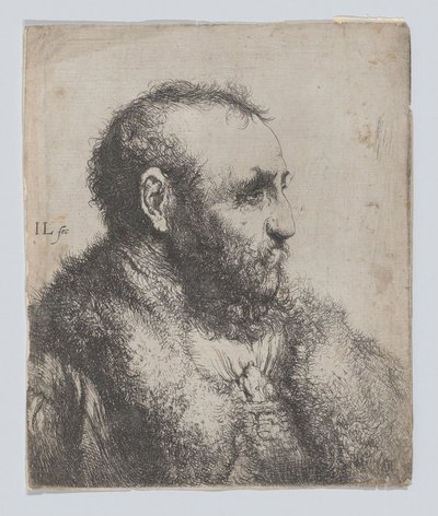 Bust of an Old Man with a Fur Collar by Jan Lievens