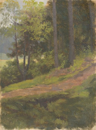 Path on the Edge of the Forest by Jan Nowopacký