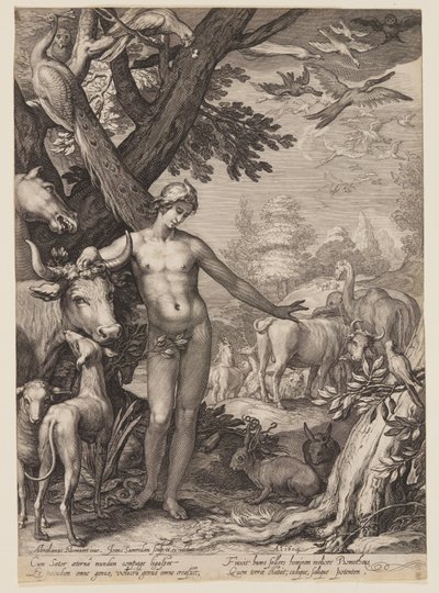 Adam Naming the Animals, from History of the First Parents of Man by Jan Saenredam