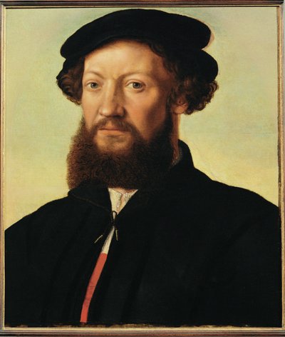 Male portrait by Jan Sanders van Hemessen