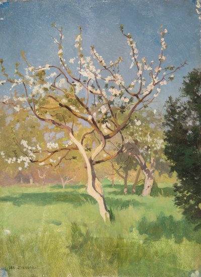 Apple Tree in Blossom by Jan Stanislawski