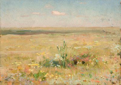 Steppe by Jan Stanislawski