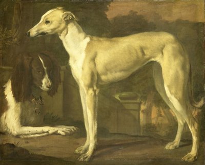 Portrait of a Greyhound and Spaniel by Jan Baptist Weenix
