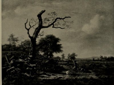 The Leafless Tree by Jan Wijnants