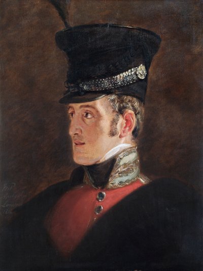 Portrait of Field Marshal Sir John Colborne, British soldier, 1821 by Jan Willem Pieneman