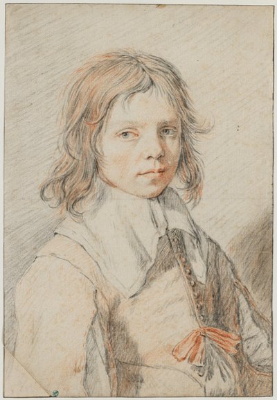 Portrait of a Boy by Jan de Bray