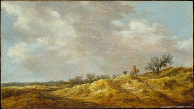 Path through the Dunes by Jan van Goyen