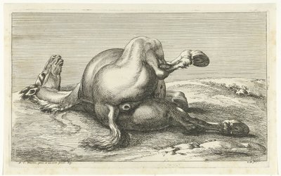 Fallen Horse Seen from Behind (series title) by Jan van Huchtenburg
