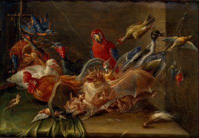 Decorative Still-Life Composition with Birds and Two Bats by Jan van Kessel