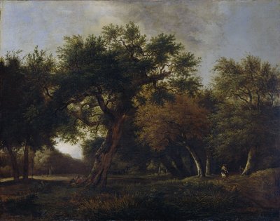 View in the Woods by Jan van Kessel