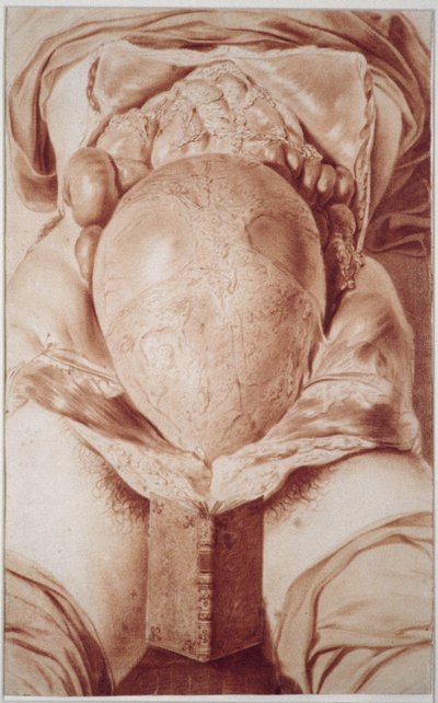 Drawing from William Hunter