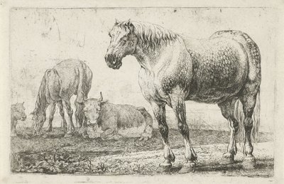 Horses and Cows (Animals) (Zoographiam) by Jan van den Hecke