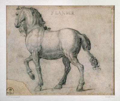 Study for a Horse from the Flanders by Jan van der Straet