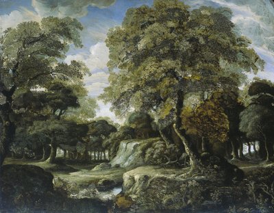 View in the Woods by Jan van der Heyden