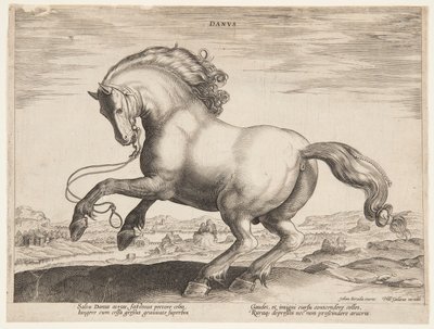 A Danish Horse, from the fourth set of 