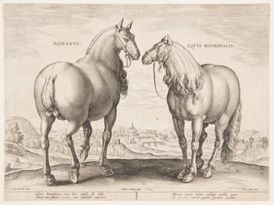 A Roman Horse, from the First Set of 