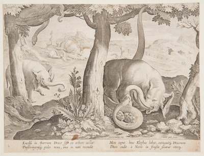 Fight between Elephants and Snakes, Plate 2 from the Venationes Ferarum, Avium, Piscium Series by Jan van der Straet, called Stradanus