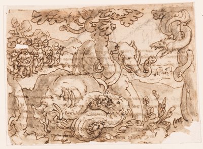 Fight between Elephants and Snakes, from Pliny