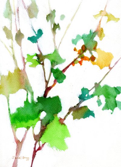  by Janel Bragg