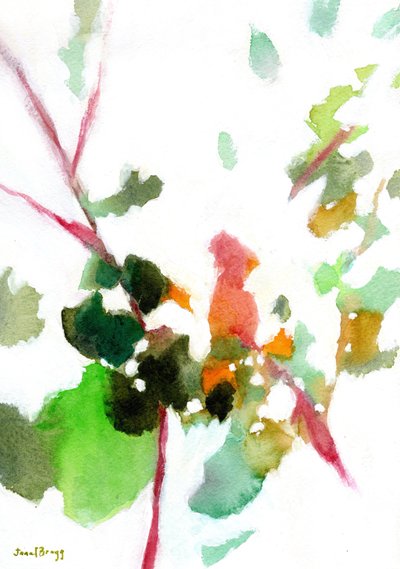  by Janel Bragg
