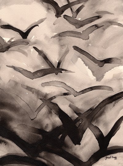  by Janel Bragg
