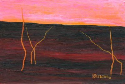 Fiery Desert Horizon by Janine Brewster