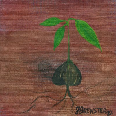 Sprouting New Life by Janine Brewster