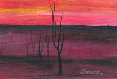 Vibrant Desert Sunset by Janine Brewster
