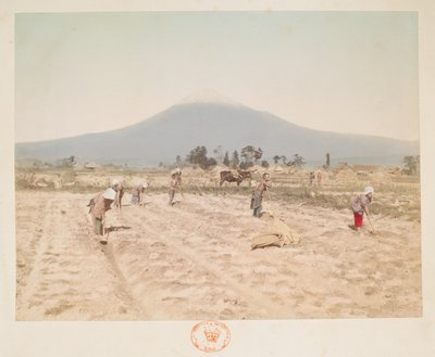 Mount Fuji and Farmland, from A Book of Coloured Photographs of Views in Japan by Japanese Photographer