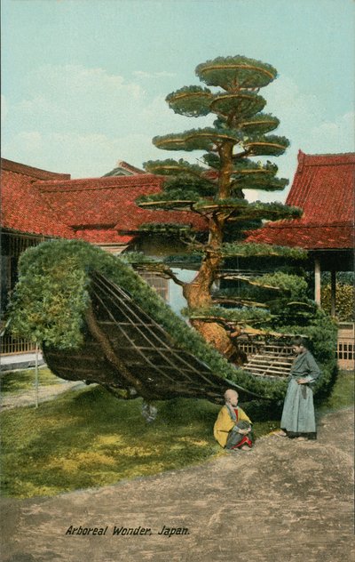 Ornamental tree shaped as a boat in Japan by Japanese Photographer