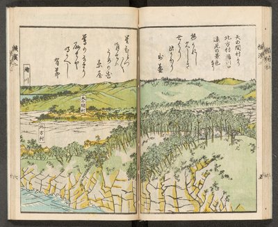 Views of Yokohama by Japanese School