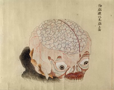 The anatomy of the brain from the dissection of a torture victim of 1796, from a makimono of a Midori doctor, 1842 by Japanese School