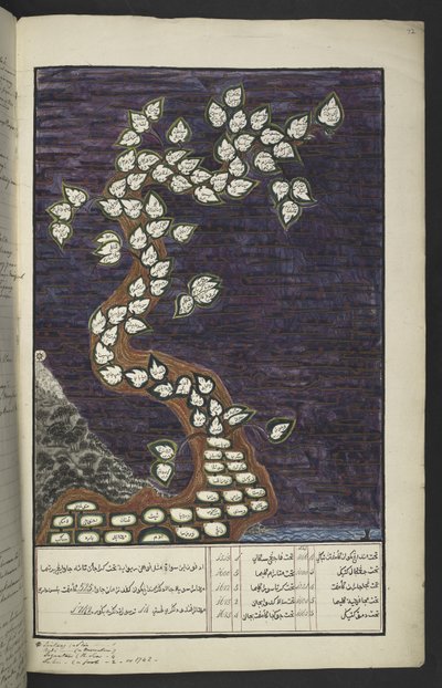 Genealogical chart in the form of a tree of the rulers of Java, from Adam to Pakuwana IV (of Surakarta) and Mataram IV (Hamengkubuwana IV of Yogykarta), in a Javanese manuscript, Papakem Pawukon by Javanese School