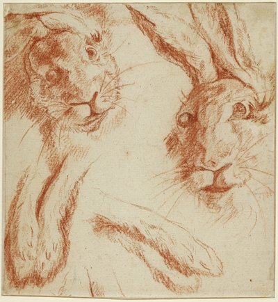 Rabbit studies: two heads and two pairs of paws by Jean-Baptiste Oudry