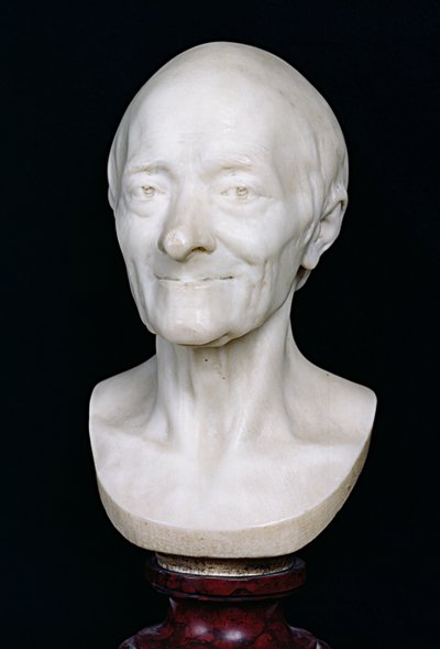 Bust of Voltaire without his wig by Jean Antoine Houdon