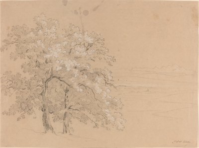 Sunlit Trees Before a Panoramic Landscape by Jean Antoine Linck