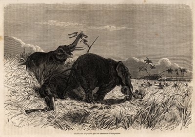 The hunt for elephants by the Dahomyan Amazons by Jean Antoine Valentin Foulquier