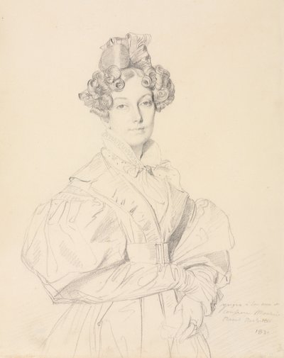 Madame Louis-Francois Bertin, Jean-Auguste-Dominique Ingres - Oil Paintings