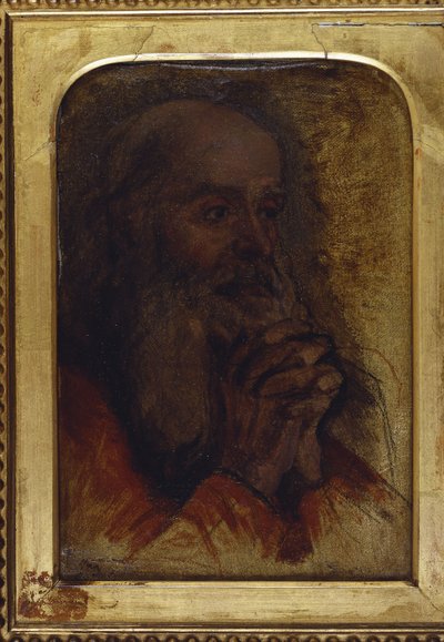 Study of an Old Man