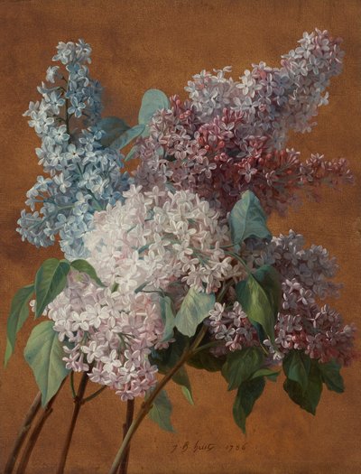 A Study of Lilacs by Jean Baptiste Huet