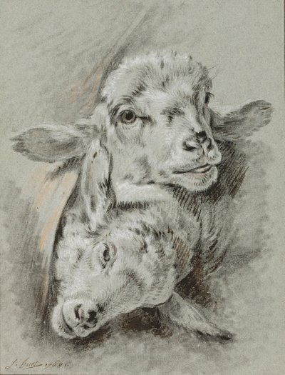 Study of Two Sheep, 1768 by Jean Baptiste Huet